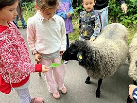 Mein bewegter Sommer im SJZ Lychi Mein bewegter Sommer im SJZ Lychi