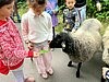 Mein bewegter Sommer im SJZ Lychi