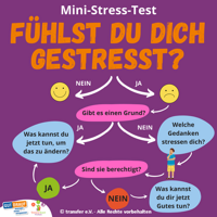 Mini-Stress-Check 