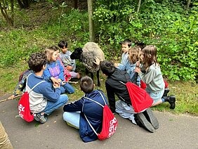 Mein bewegter Sommer im SJZ Lychi Mein bewegter Sommer im SJZ Lychi